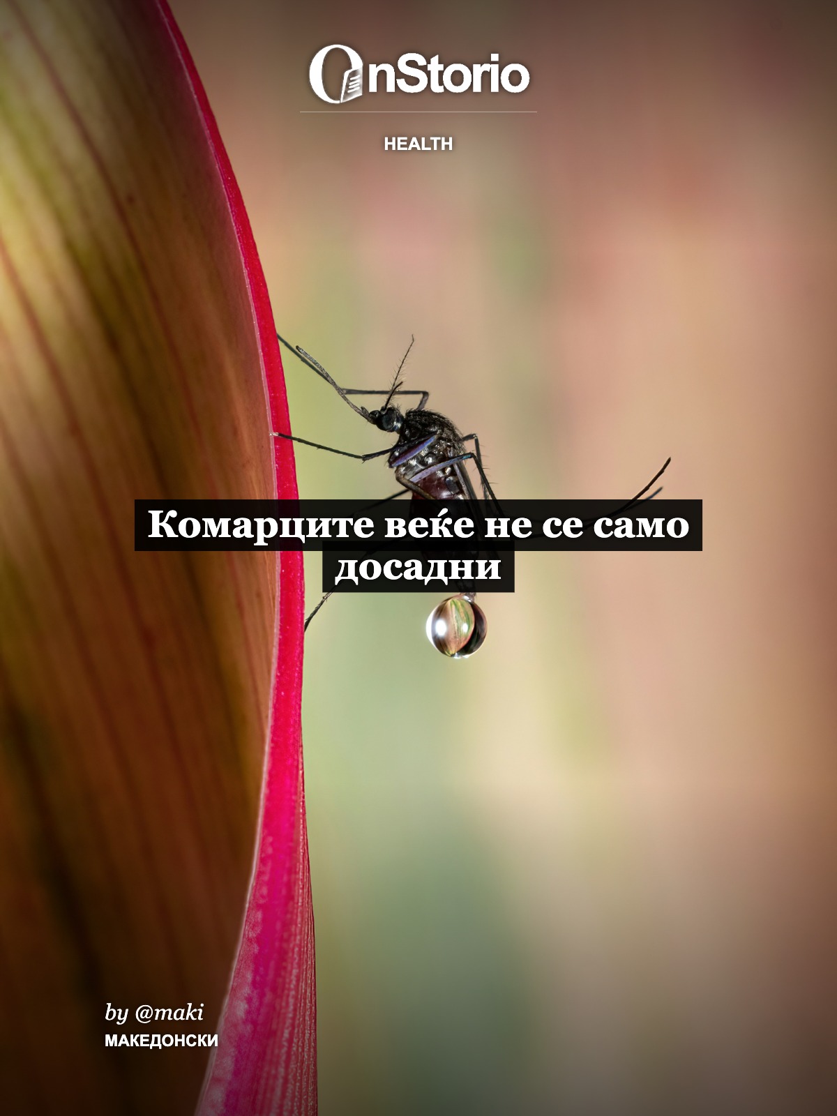 Комарците веќе не се само досадни cover