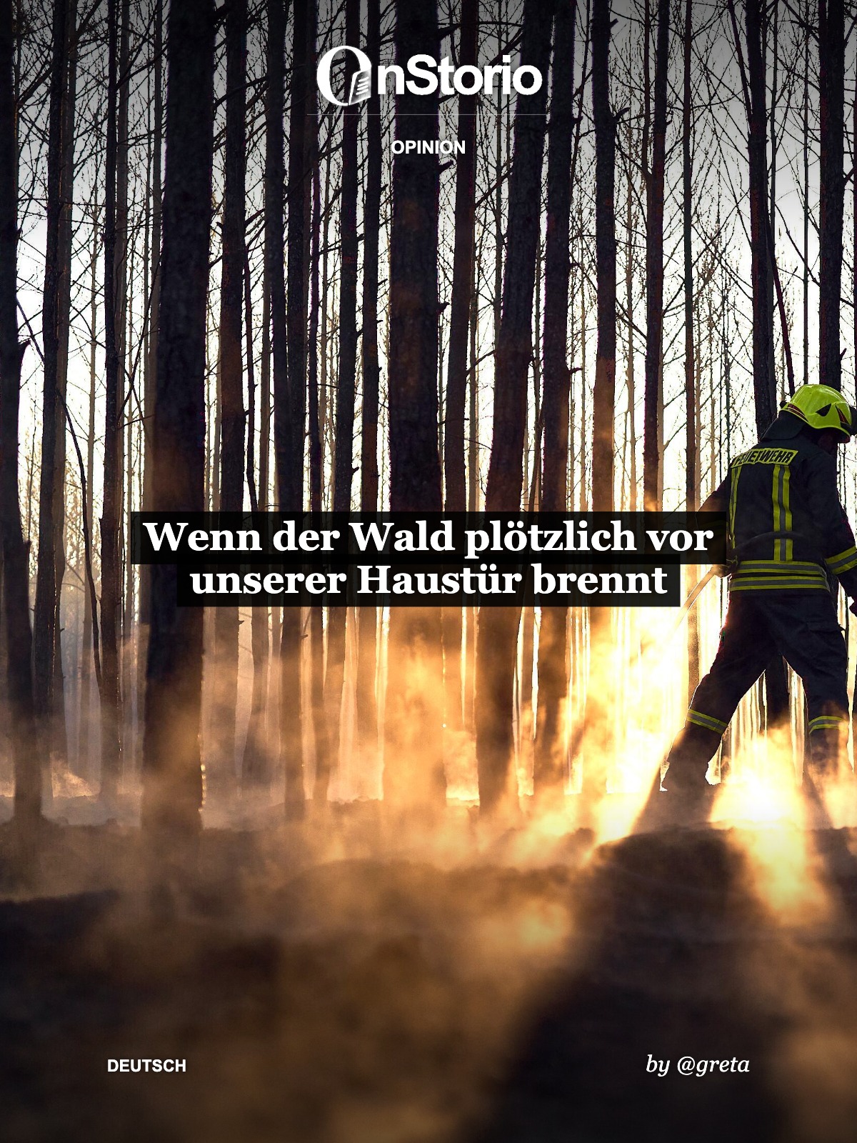 Wenn der Wald plötzlich vor unserer Haustür brennt cover
