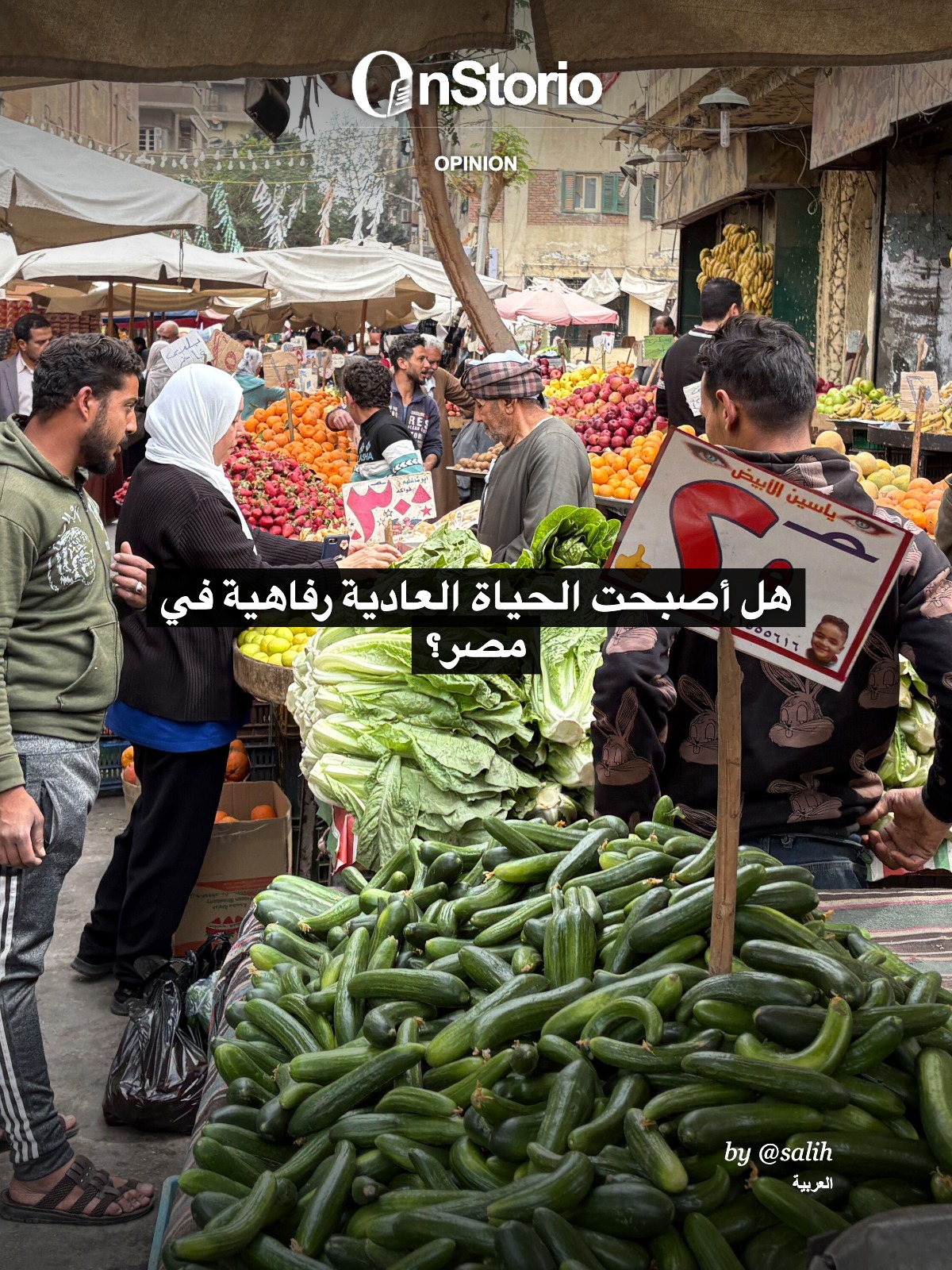 هل أصبحت الحياة العادية رفاهية في مصر؟ cover